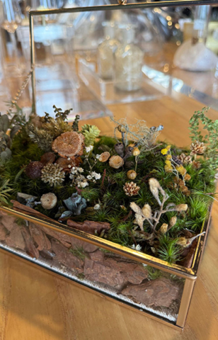 00_0012_WhatsApp Image 2025-08-27 at 10.46.39 (4)